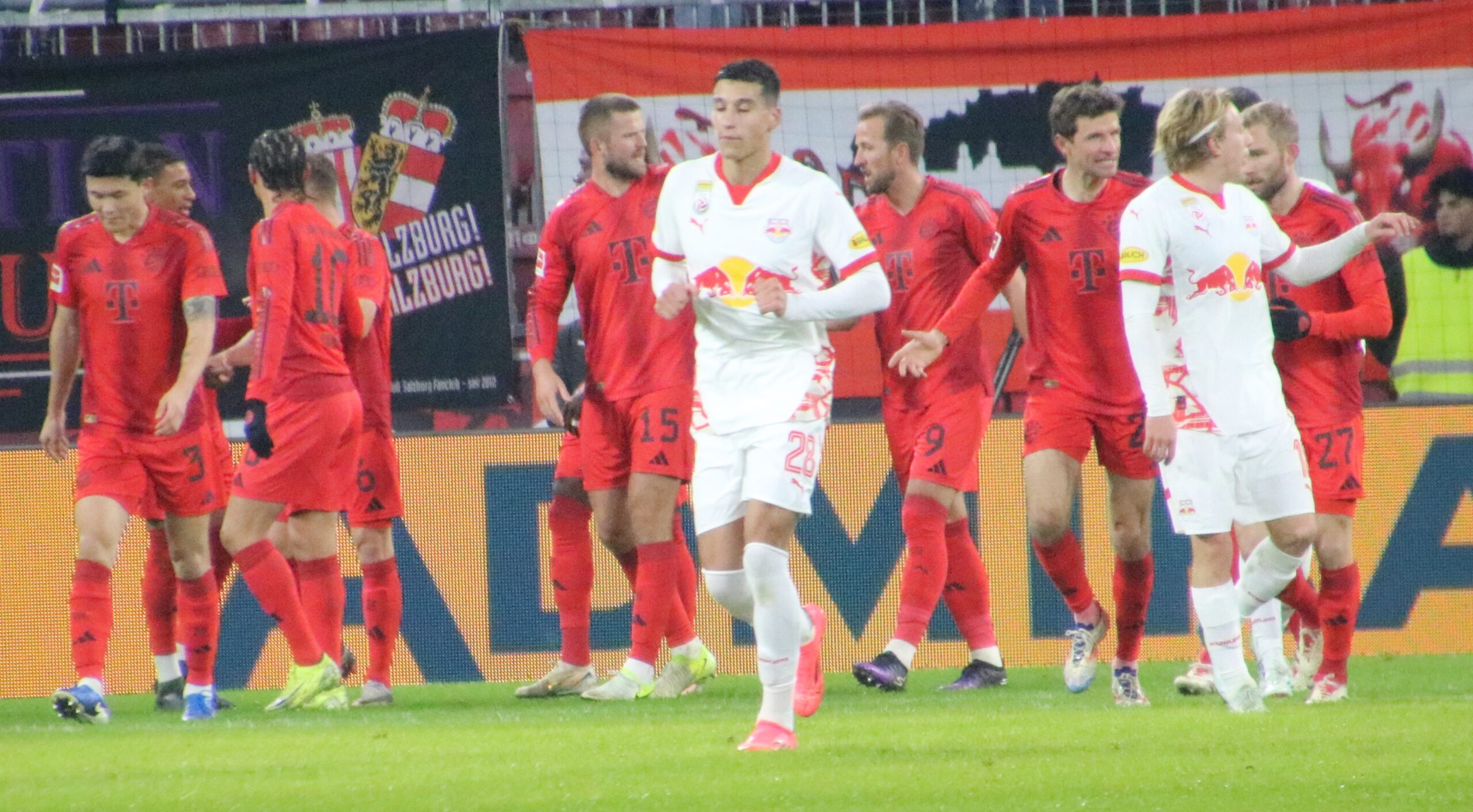 Olise Bayern