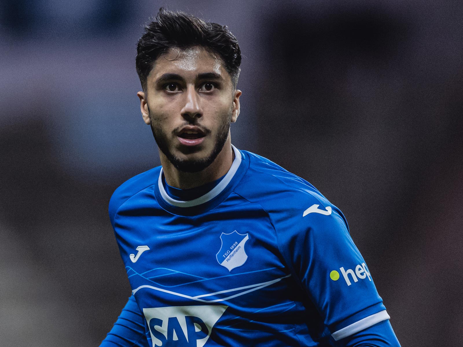 Damar Hoffenheim