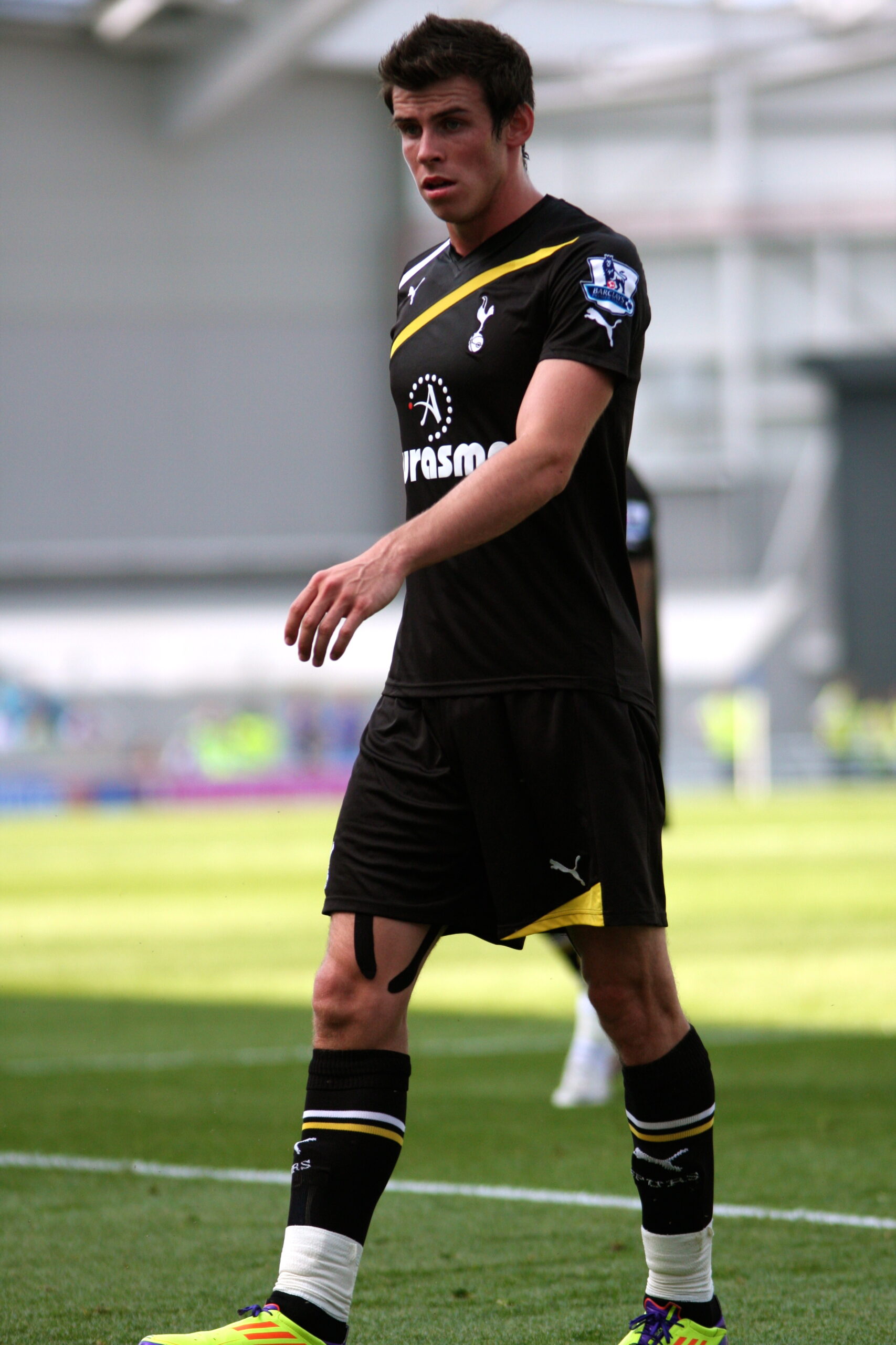 Hove Albion